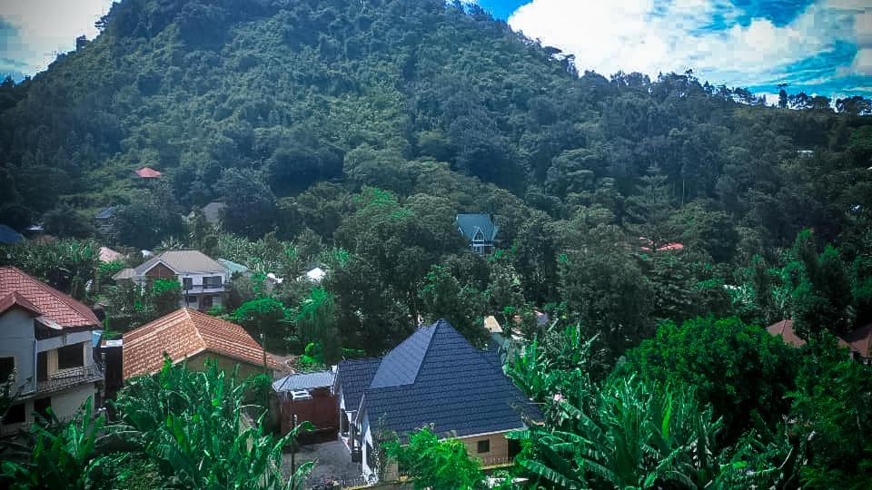 Grand Ballroom Setup